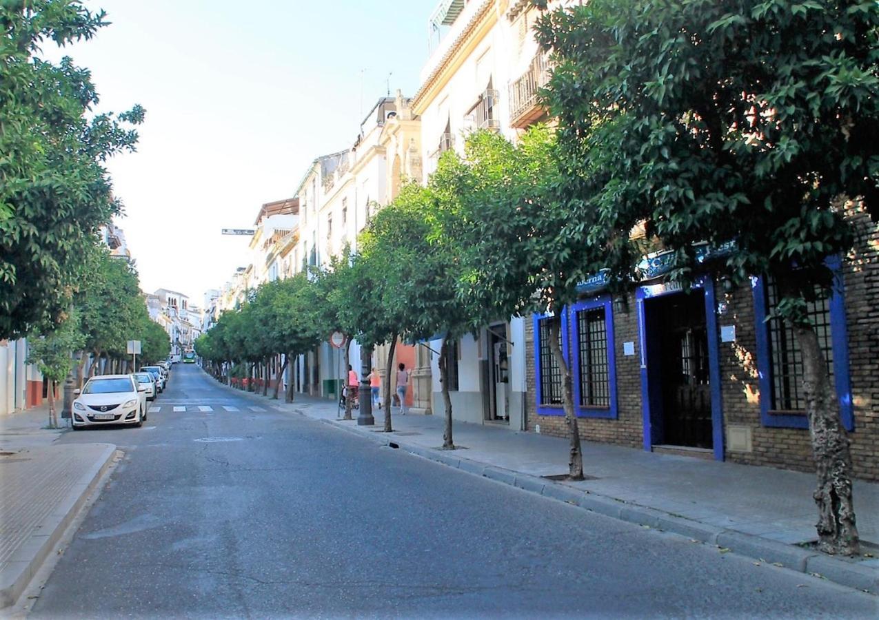 Vivienda Turistica Califato En Casco Historico Apartment Cordoba Exterior photo